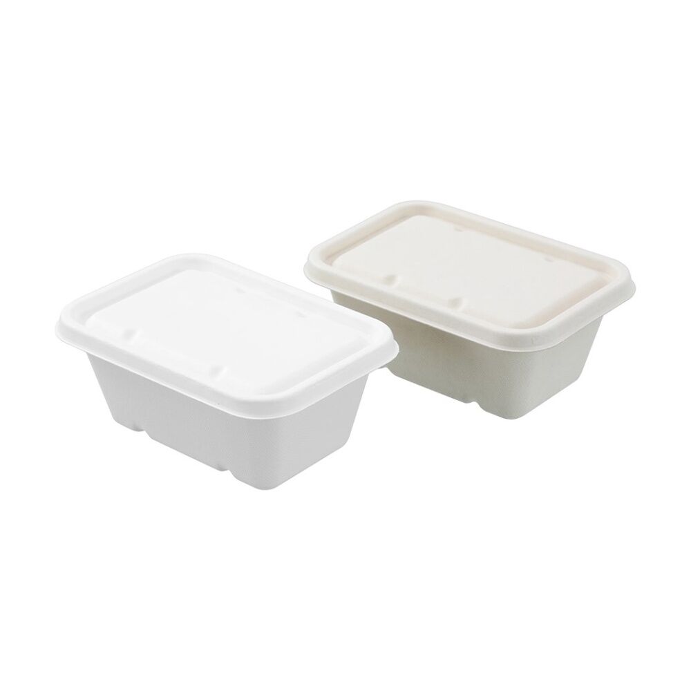 Lemon and Lime 6x 20pc Eco Sugarcane Food Container Set 1L — image 3