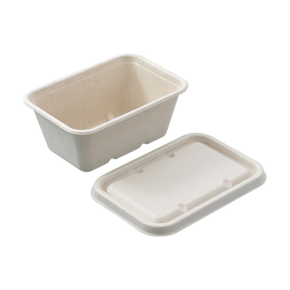 Lemon and Lime 6x 20pc Eco Sugarcane Food Container Set 1L — image 5