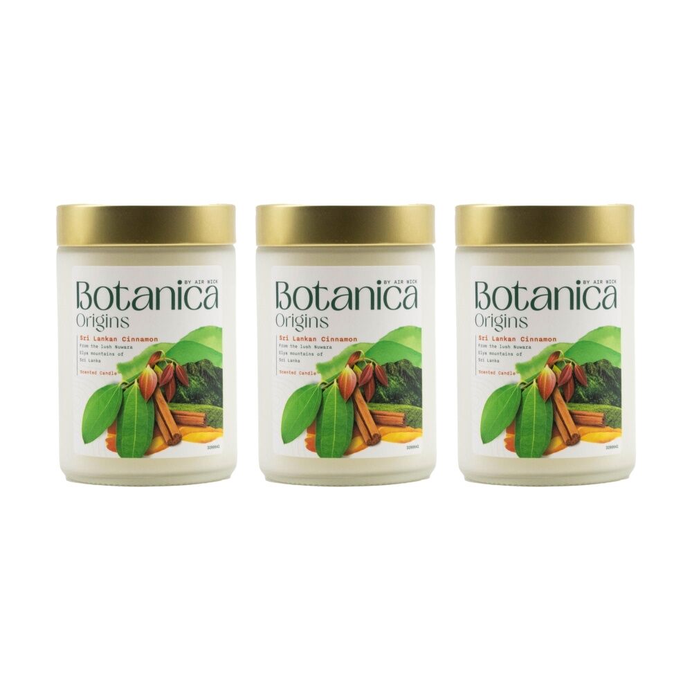 Air Wick Botanica Origins Candle Sri Lankan Cinnamon Scented (3 Pack)
