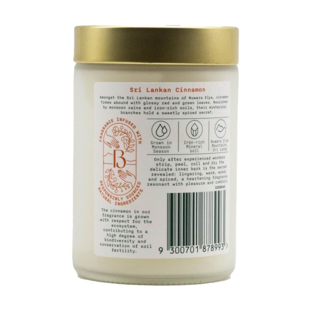 Air Wick Sri Lankan Cinnamon Scented Botanica Origins Candle — image 2