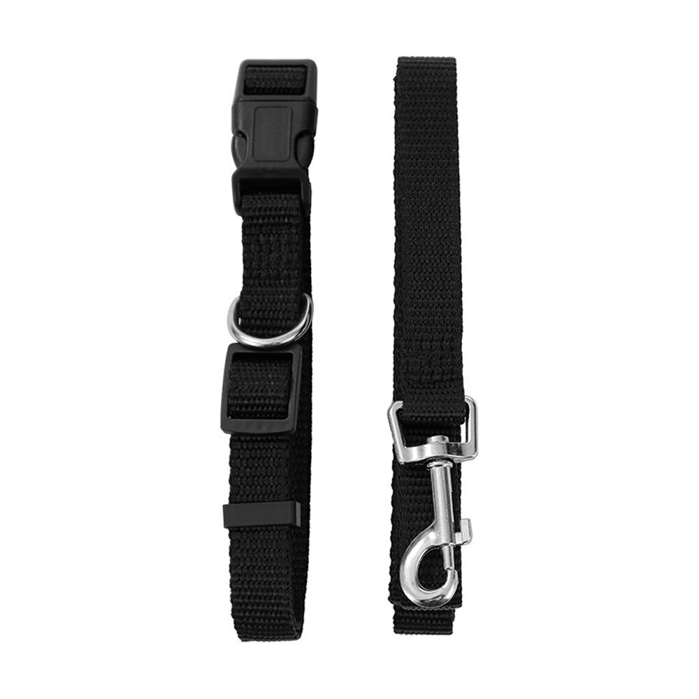 Paws and Claws Essentials Dog Collar & Lead Set Medium 30-50cm 120x1.5cm Asstd (3 Pack) — image 5
