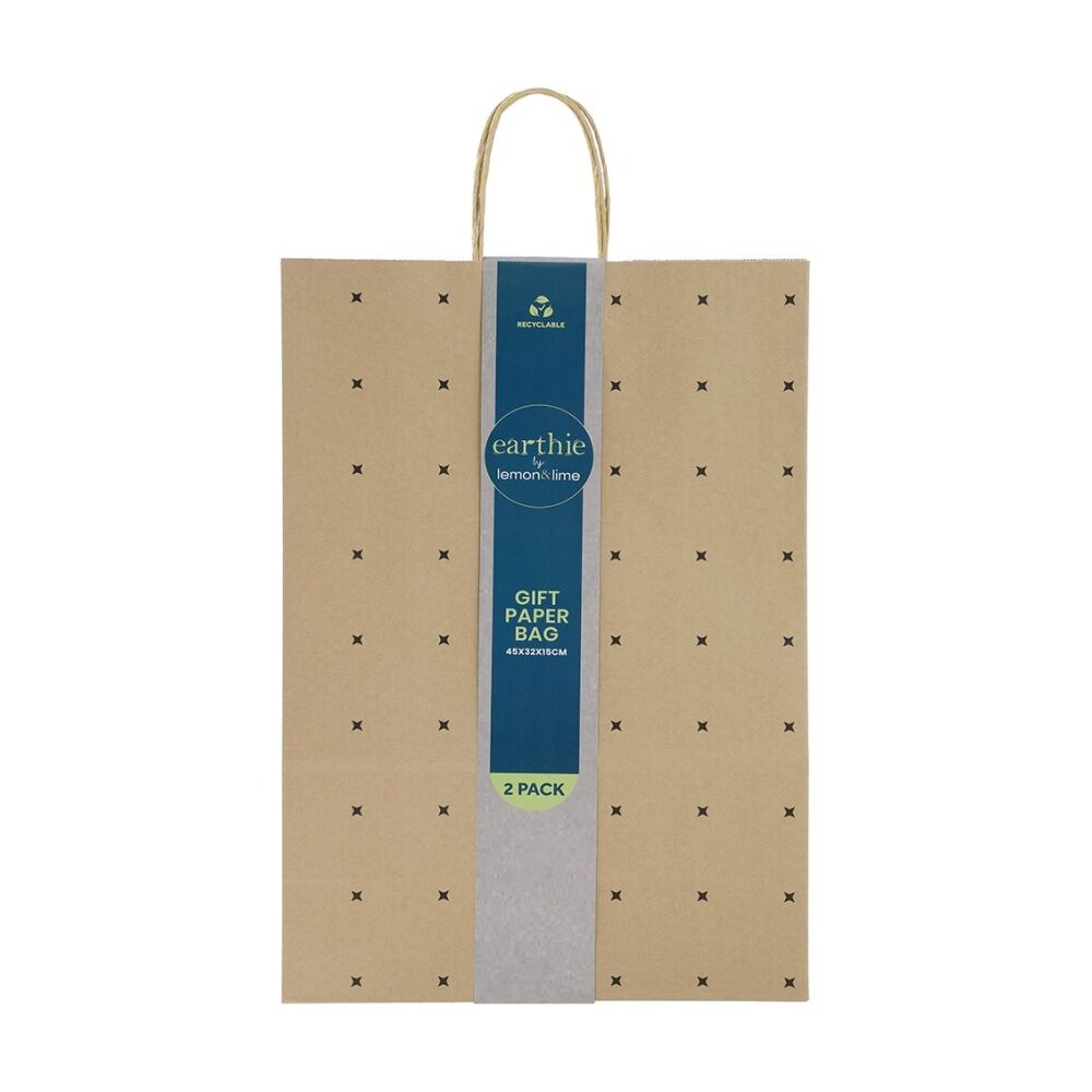 Lemon and Lime 2pc Lemon And Lime Patterned Paper Gift Bag Set 45x32x15cm Assorted (24 Pack) — image 5
