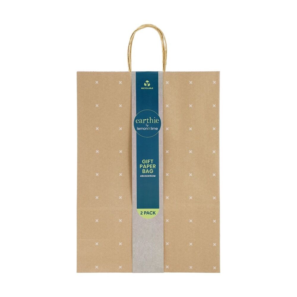 Lemon and Lime 2pc Lemon And Lime Patterned Paper Gift Bag Set 45x32x15cm Assorted (48 Pack) — image 6