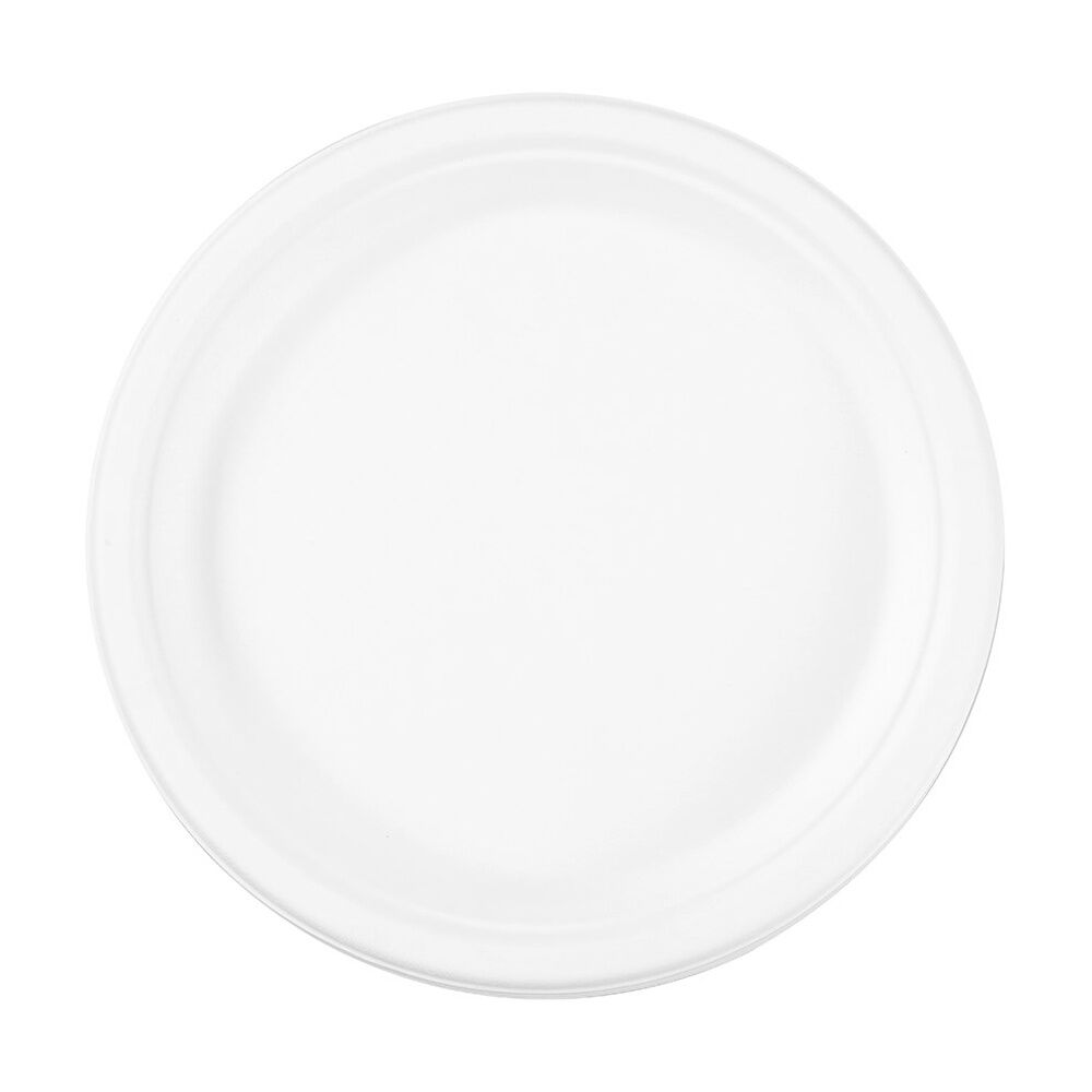 Lemon and Lime 12x 10pc Sugarcane Dinner Plate Biodegradable 26cm — image 5