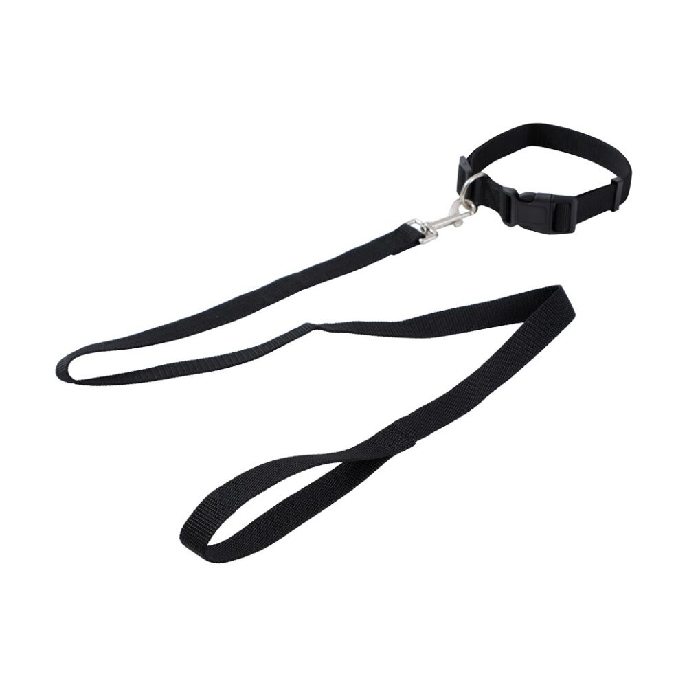 Paws and Claws Assorted Essentials Pet Dog Collar & Lead Set — image 3