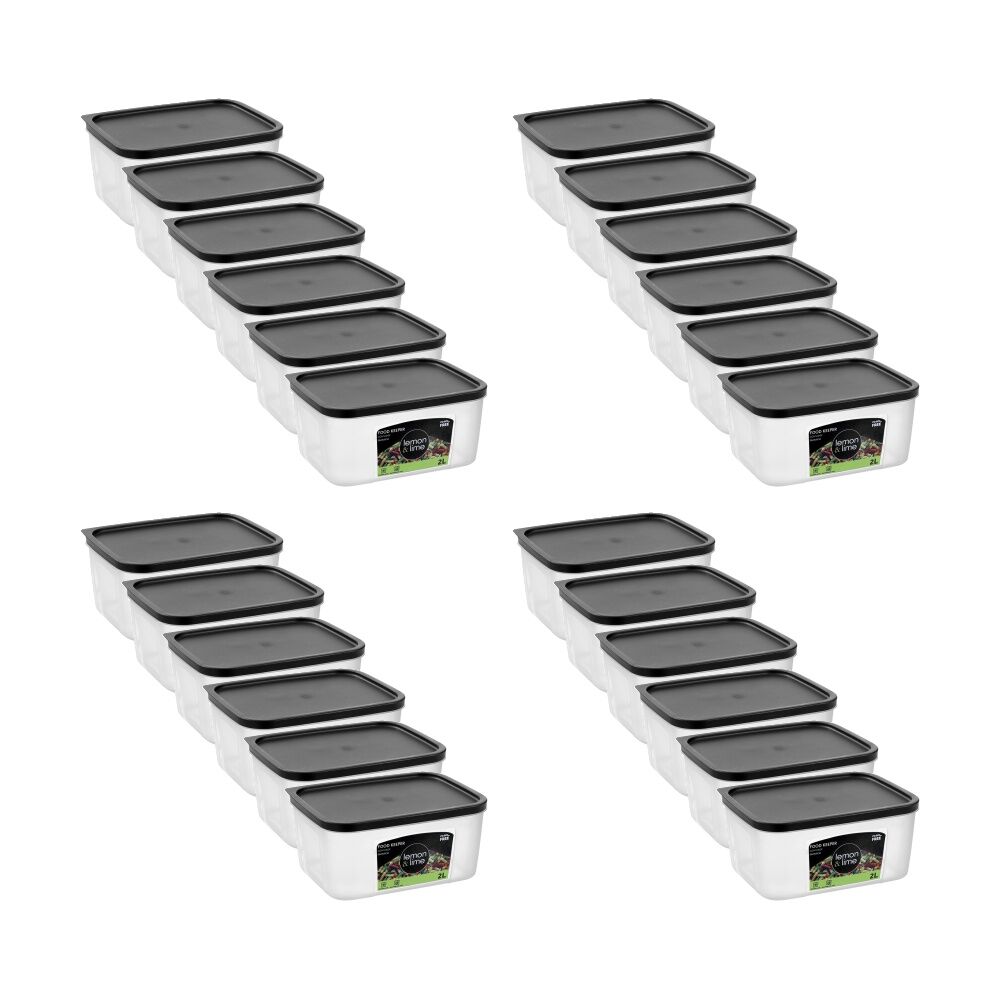 Lemon and Lime Food Keeper Rectangle Reusable Container 2L 20x15x9.3cm (24 Pack)
