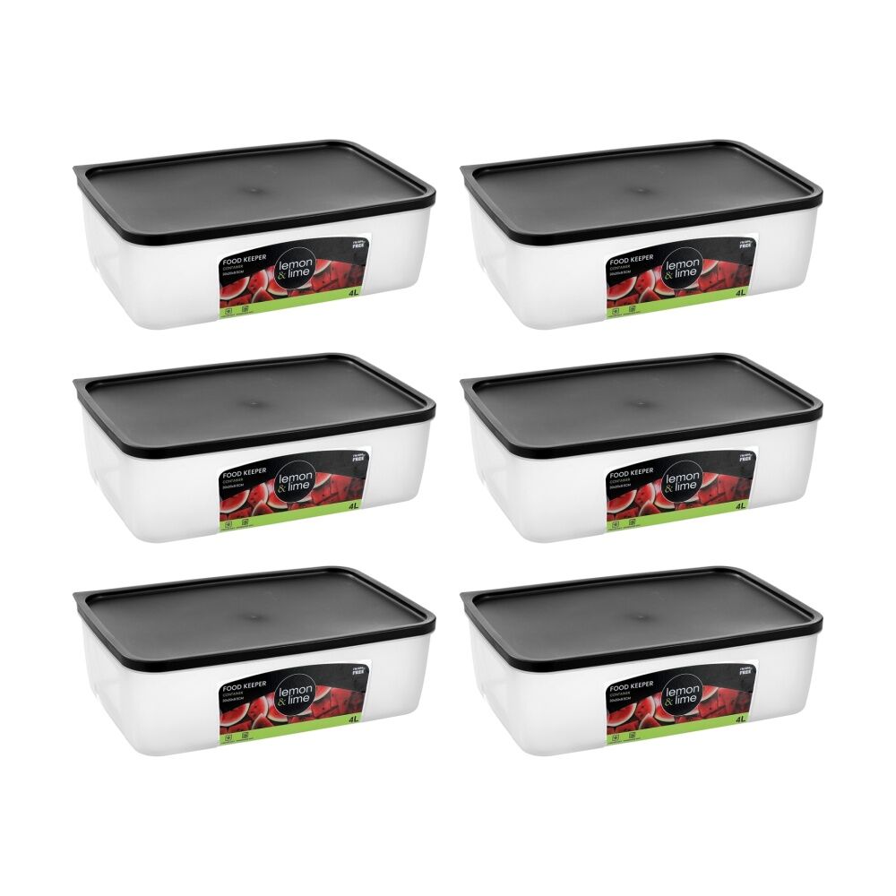 Lemon and Lime Food Keeper Rectangle Reusable Container 4L 29.8x20x9.3 (6 Pack)