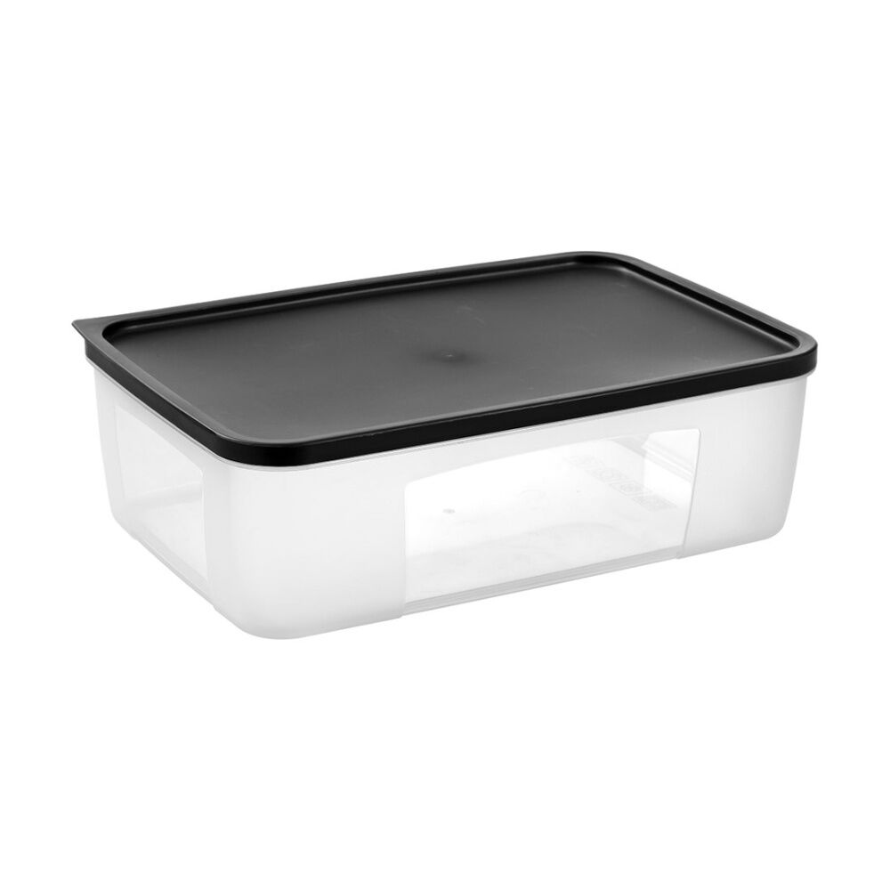 Lemon and Lime Food Keeper Rectangle Reusable Container 4L 29.8x20x9.3 (6 Pack) — image 7