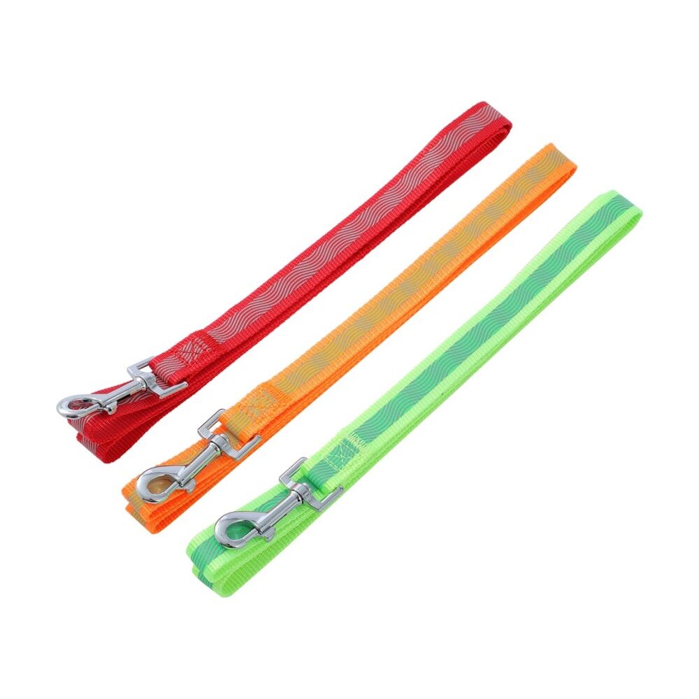 Paws and Claws Reflective Pet Dog Lead 120 x 2cm - Reflective Stitching For Visibility - Durable Material 120cmx2cm — image 3