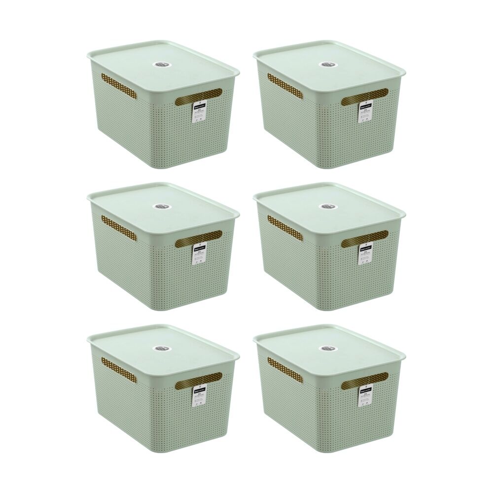 Boxsweden Koi Lidded Home Organiser Storage Container Basket Assorted 16.5L (6 Pack)