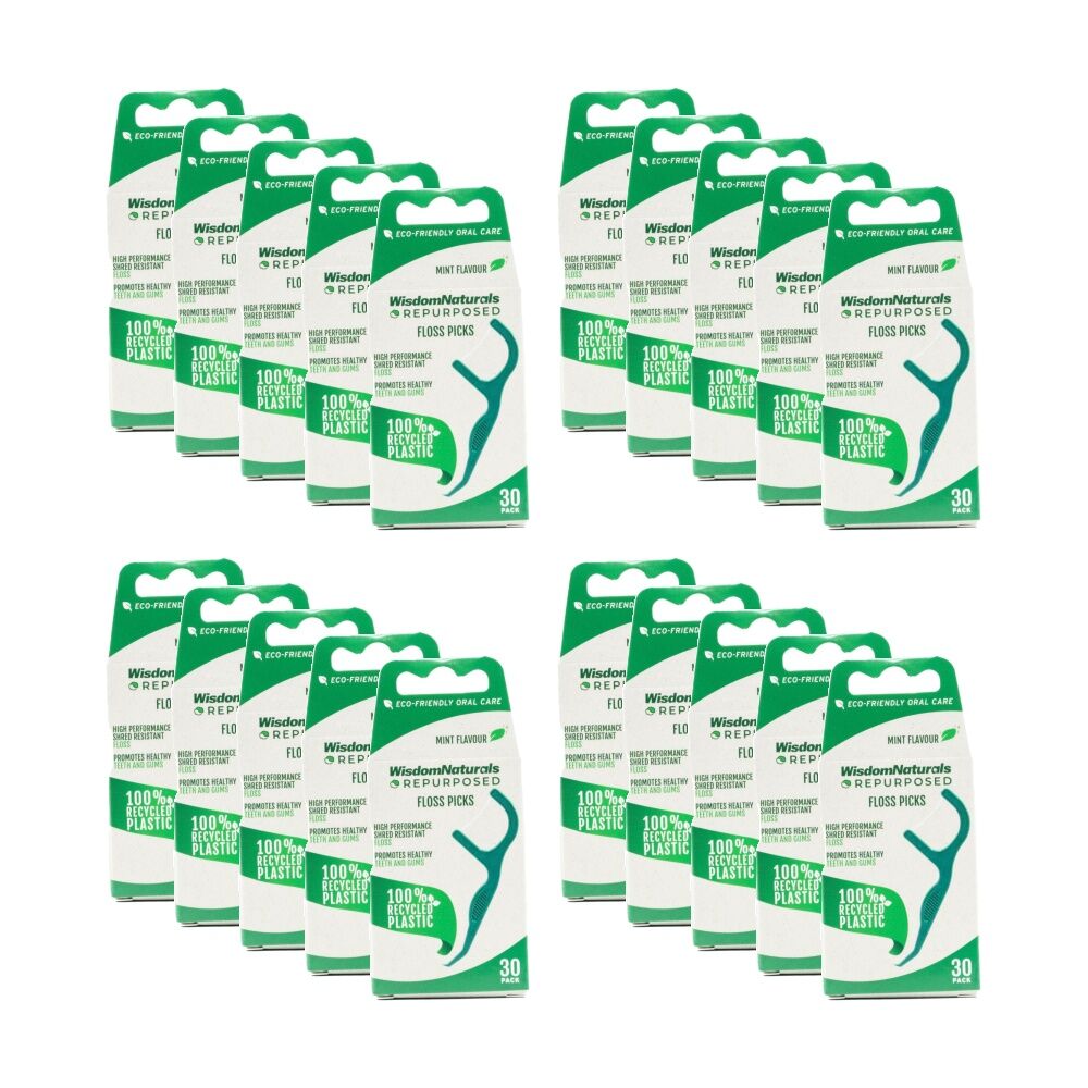 Wisdom 30pc Wisdom Naturals Recycled Plastic Dental Floss Picks Set Green (20 Pack)