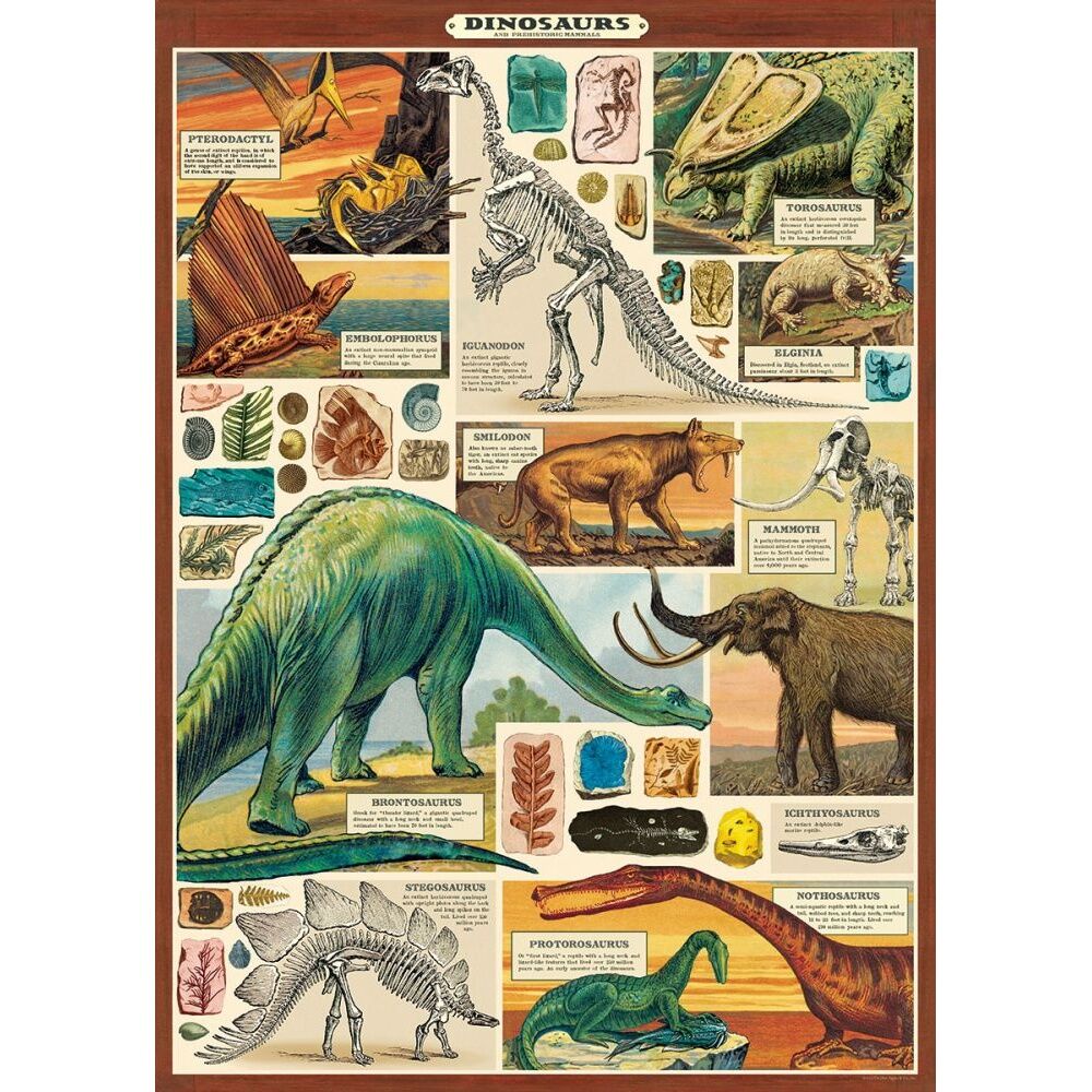 Cavallini Poster Gift Wrap Dinosaurs 2 Vintage Illustration 50x70cm (4 Pack) — image 2