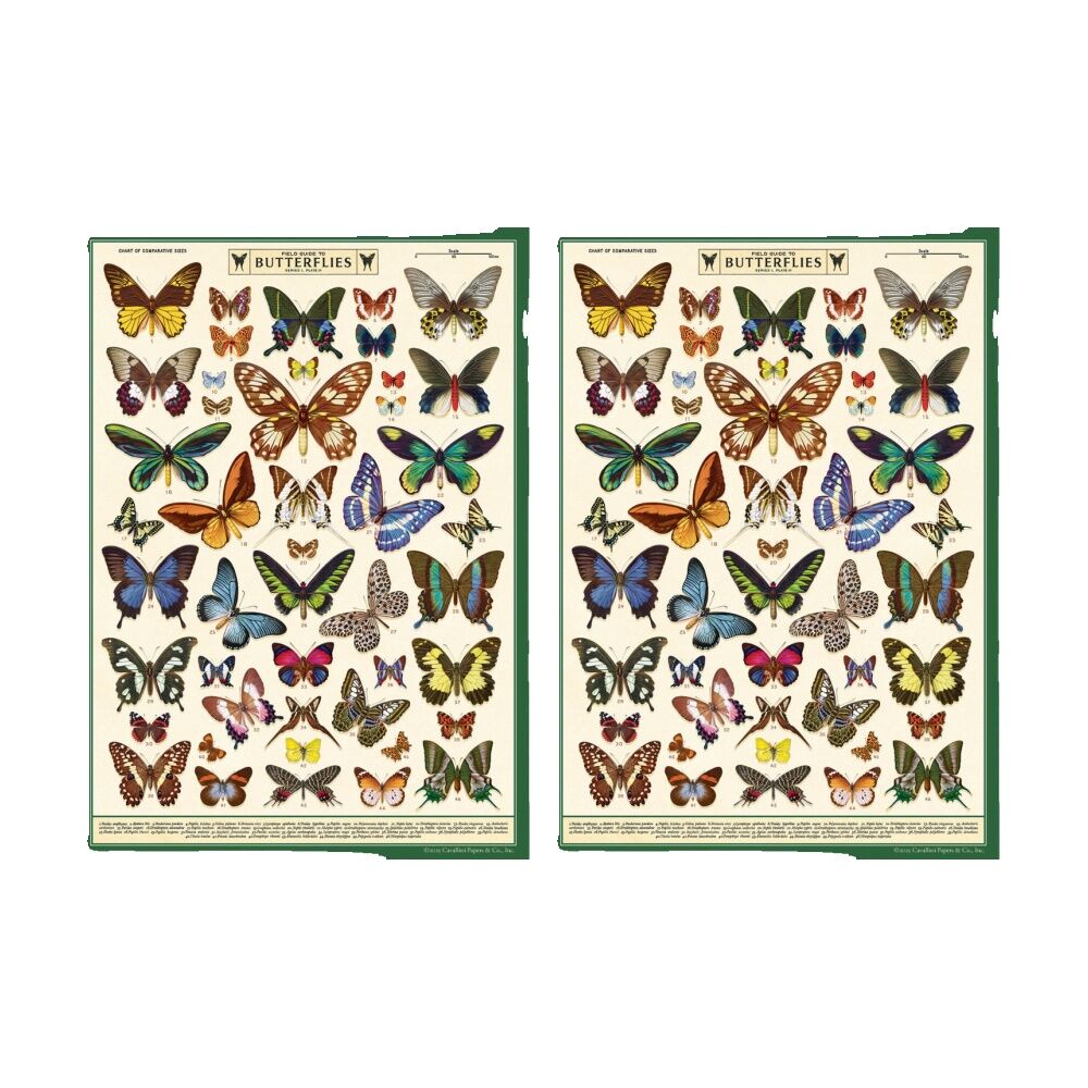 Cavallini Poster Gift Wrap Paper Vintage Art Field Guide to Butterflies (2 Pack)