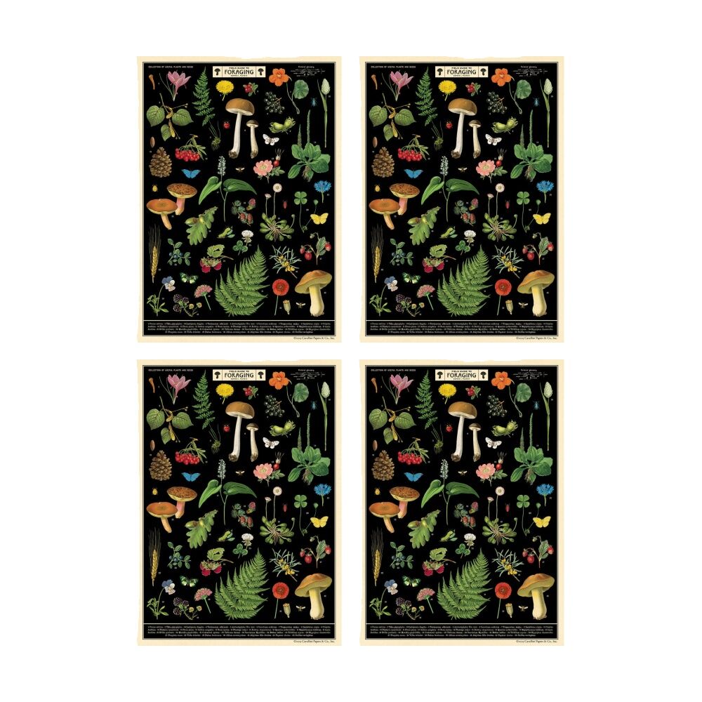 Cavallini Poster Gift Wrap Paper Vintage Art Field Guide to Foraging (4 Pack)