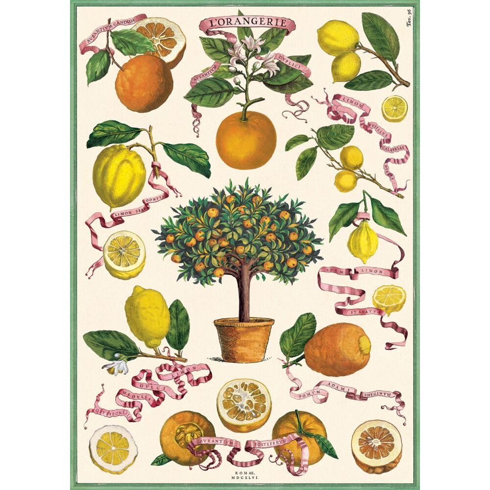 Cavallini Poster Gift Wrap L'Orangerie Vintage Botanical Design 50x70cm Cavallini