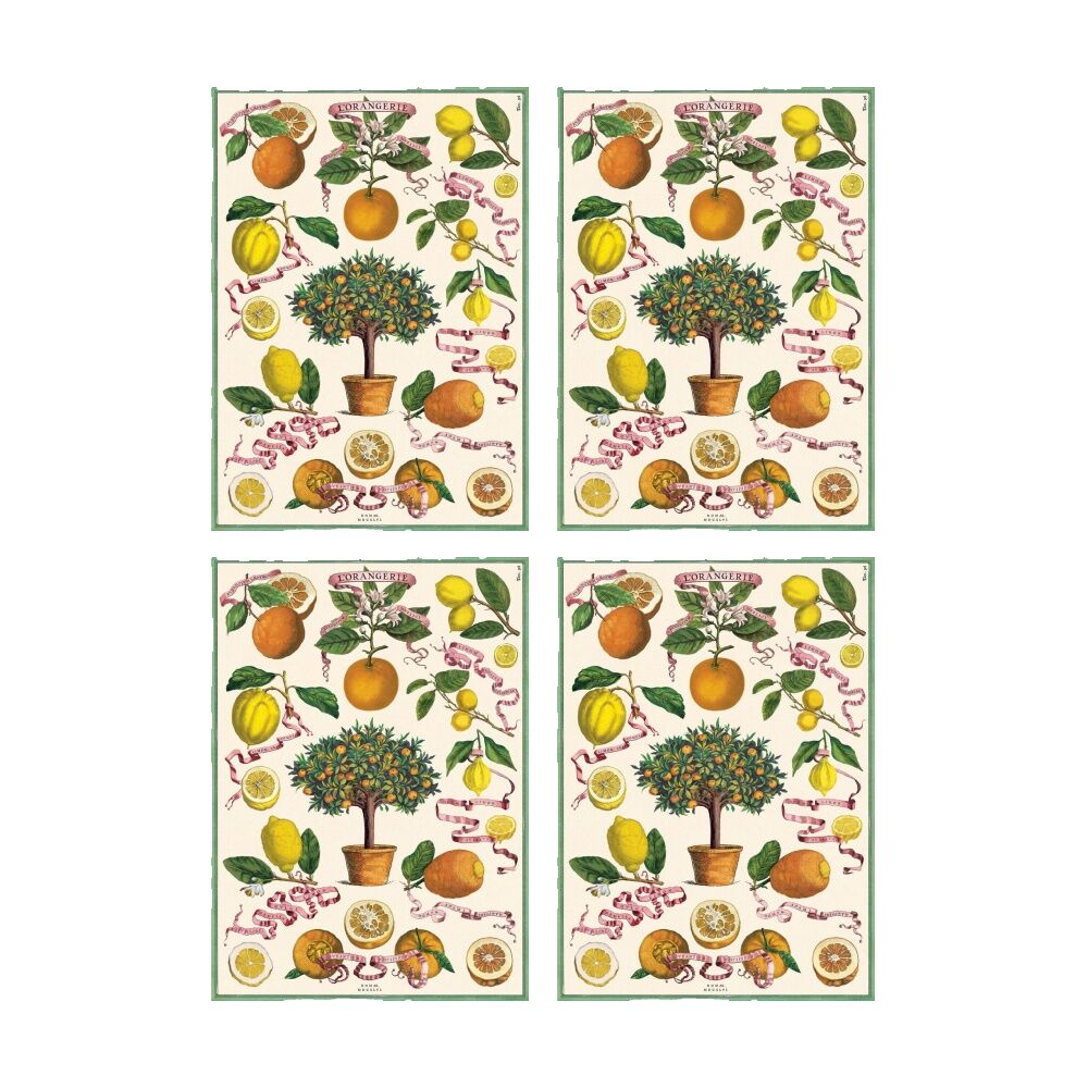 Cavallini Poster Gift Wrap L'Orangerie Vintage Botanical Design 50x70cm (4 Pack)
