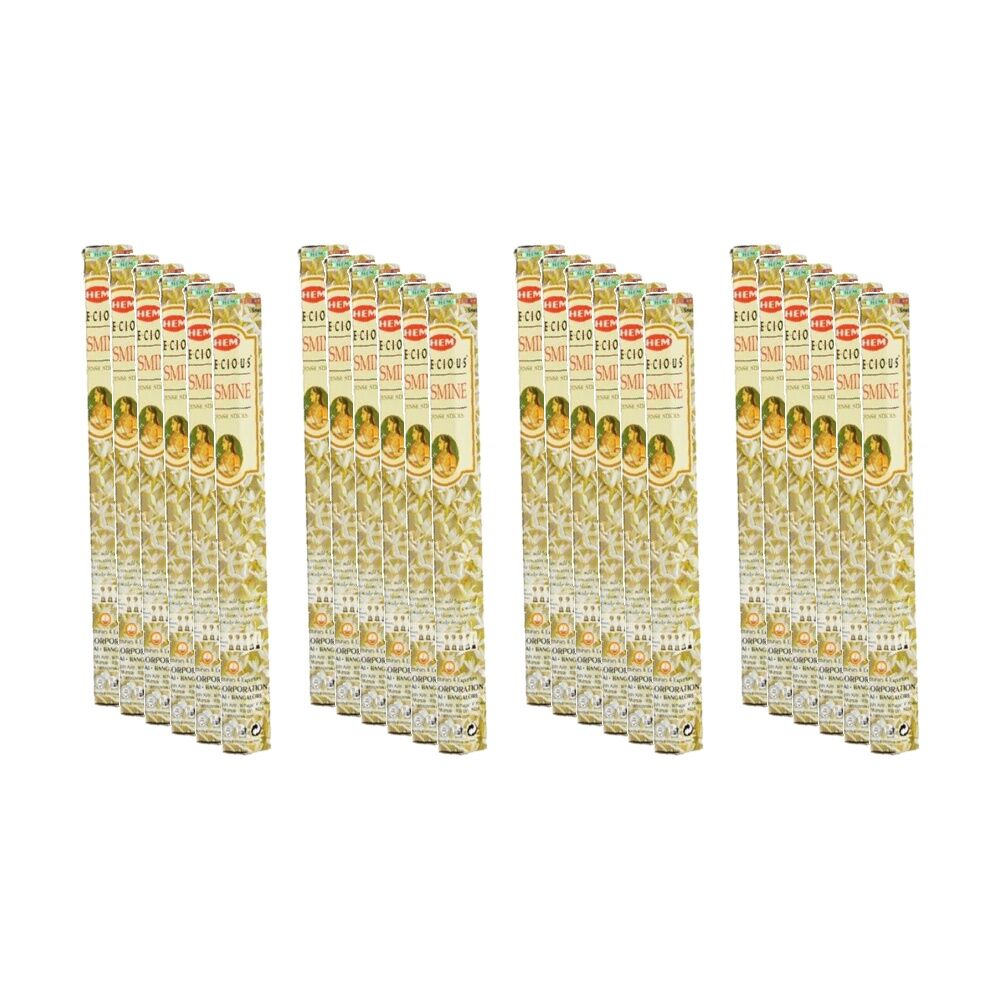 Hem Home Fragrance Scented Smelling Incense Sticks Packet Set Jasmine (24 Pack)
