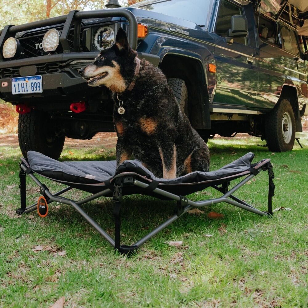 Wildtrak Deluxe Folding Pet Camp Bed XL with Removable Cover - Foldaway Design for Easy Transport - 95x95cm Grey Durable Fabric — image 2