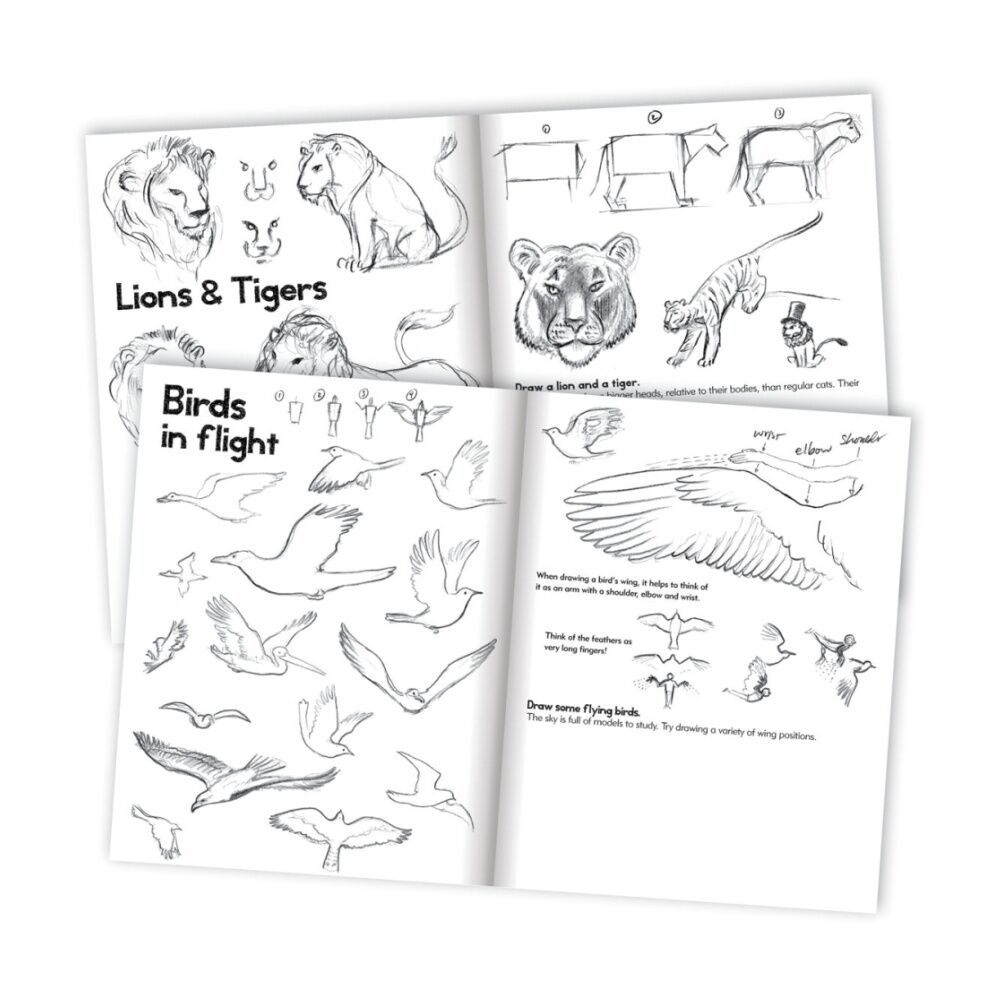 Eeboo Learn To Draw Instructional Animals Art Book 7+ 21.5x28.5cm Eeboo — image 2