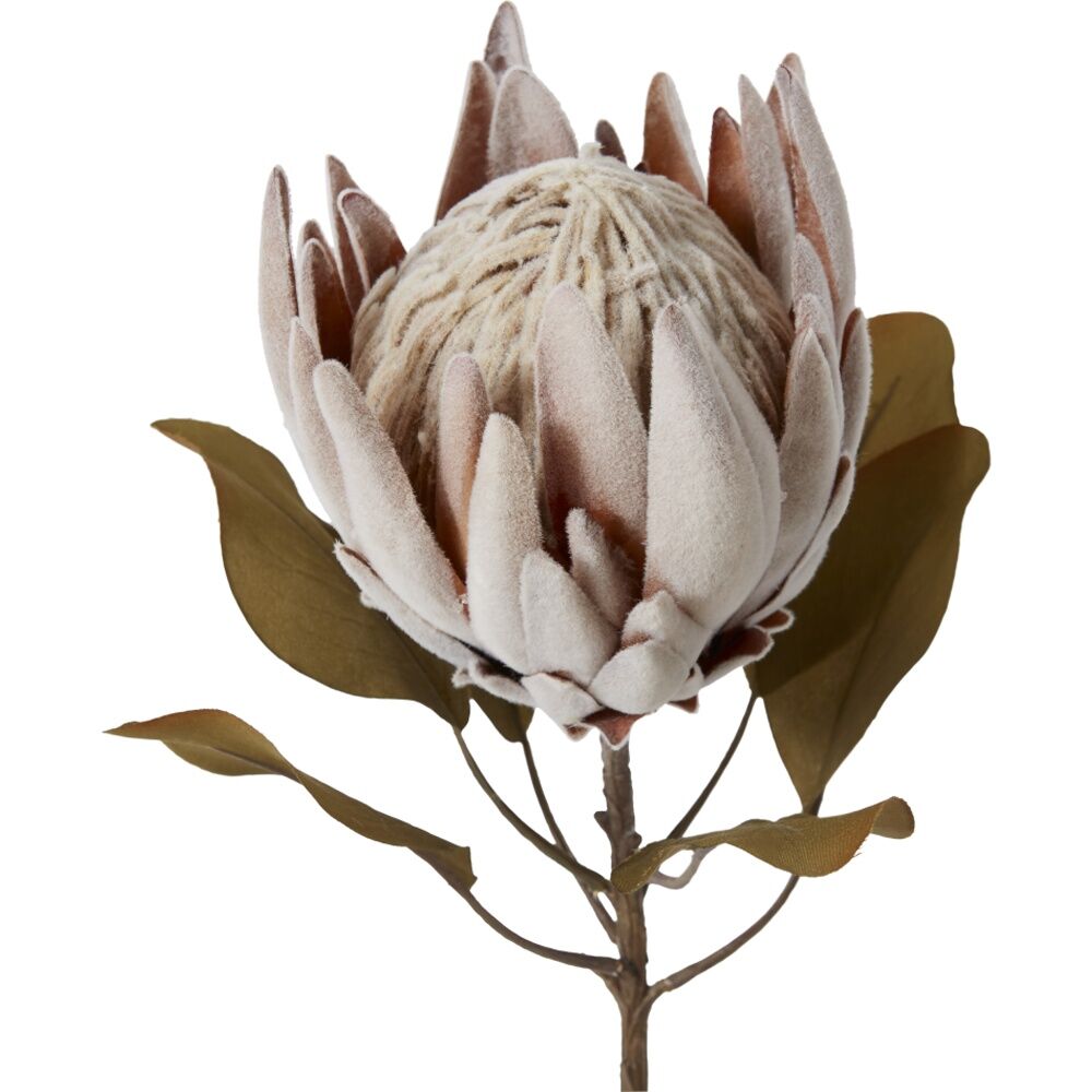 E Style Protea King Dried Look Stem Brown Artificial Floral 25x25x61cm E Style — image 2