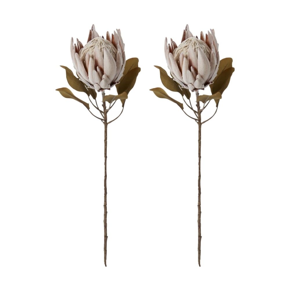 E Style Protea King Dried Look Stem Brown Artificial Floral 25x25x61cm (2 Pack)