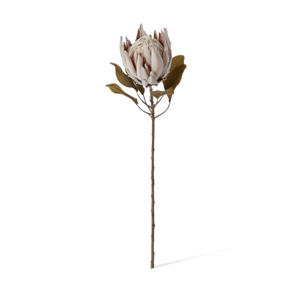 E Style Protea King Dried Look Stem Brown Artificial Floral 25x25x61cm E Style