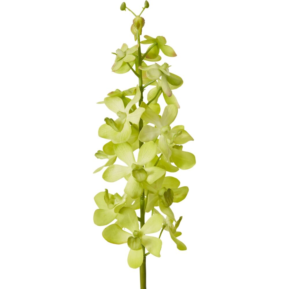 E Style Orchid Vanda Stem Artificial Floral Decoration Green 9x10x69cm E Style — image 2