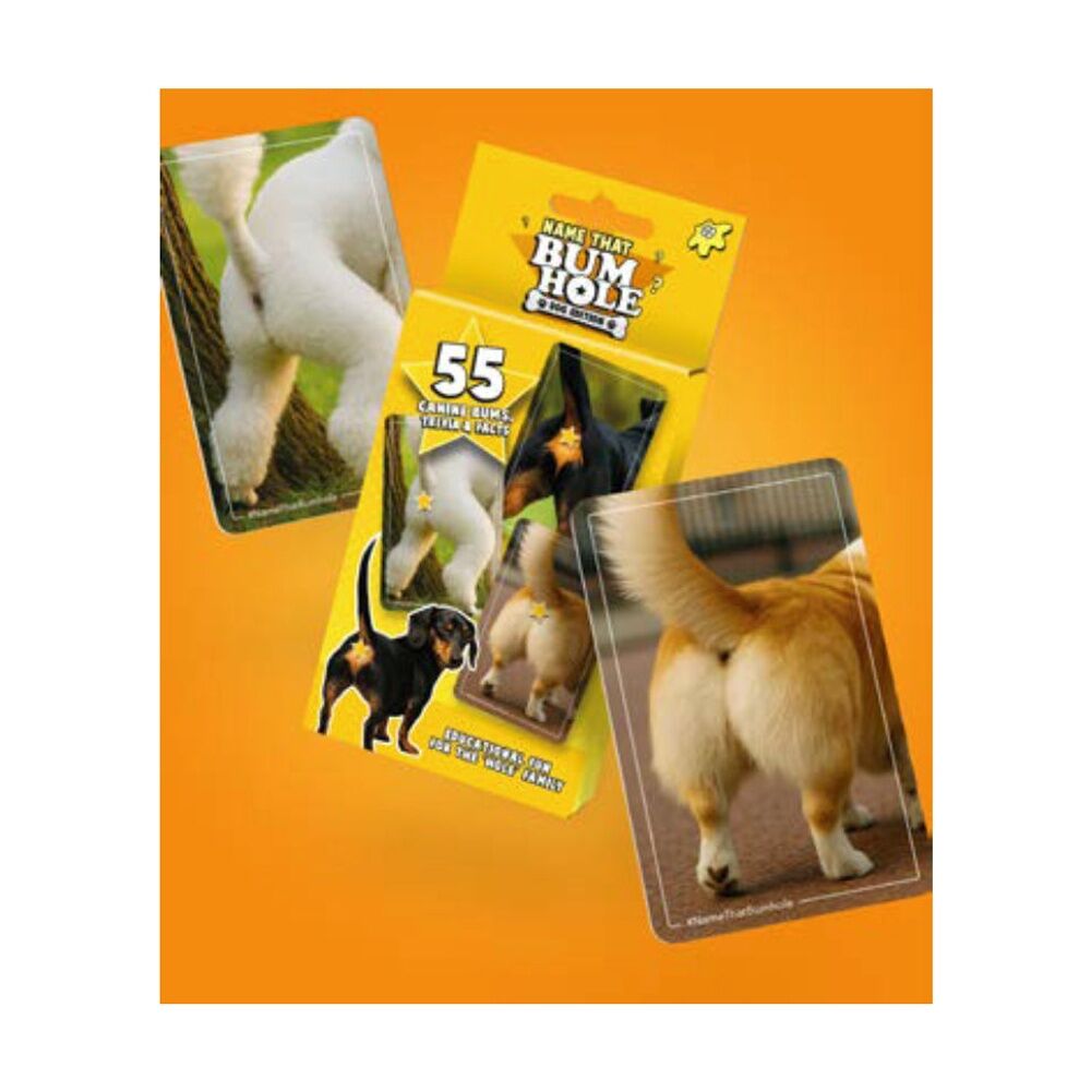 Bubblegum Stuff Yellow Name That Bumhole Dog Edition Fun Party Family Card Game — image 2