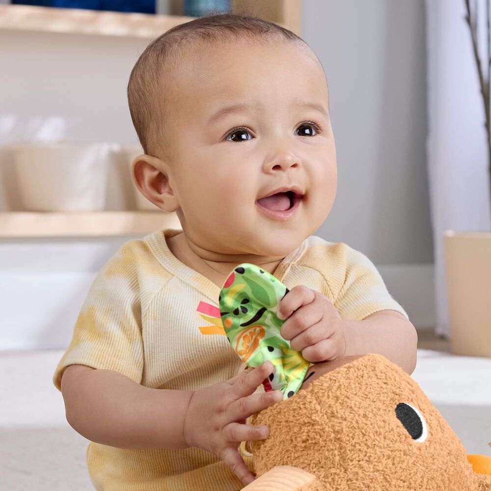 Fisher Price Sensimals Snuggly Snacky Capybara Baby Plush Toy Teether — image 6