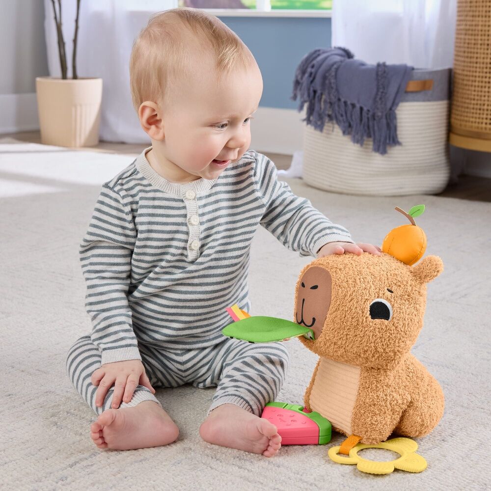 Fisher Price Sensimals Snuggly Snacky Capybara Baby Plush Toy Teether — image 4