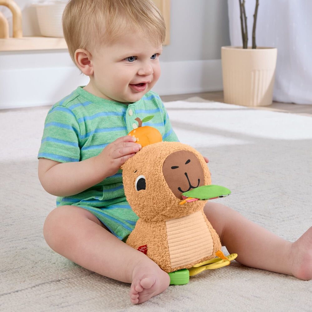 Fisher Price Sensimals Snuggly Snacky Capybara Baby Plush Toy Teether — image 7