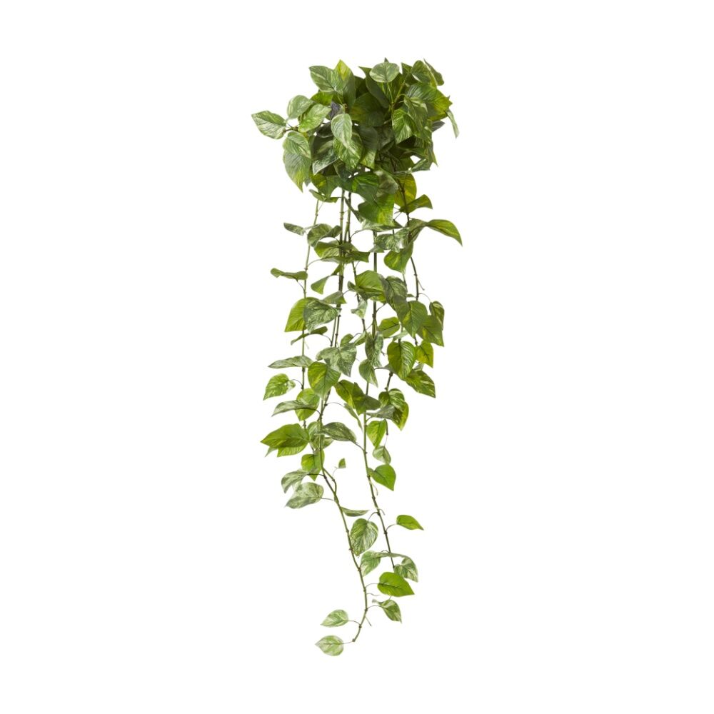 E Style Pothos Outdoor Hanging Plant - Vibrant Green Foliage - Plastic and Wire Construction - No Assembly Required - 55 L x 70 W x 122 H cm Green