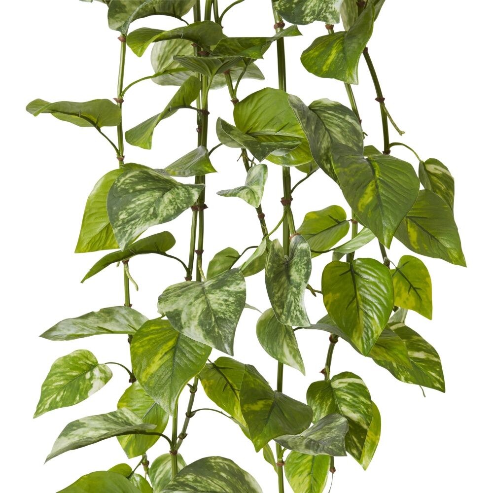 E Style Pothos Outdoor Hanging Plant - Vibrant Green Foliage - Plastic and Wire Construction - No Assembly Required - 55 L x 70 W x 122 H cm Green — image 2
