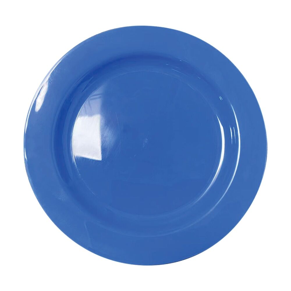 Partyware Reusable Dinner Plates Set Tableware 230mm Blue (10 Pieces)