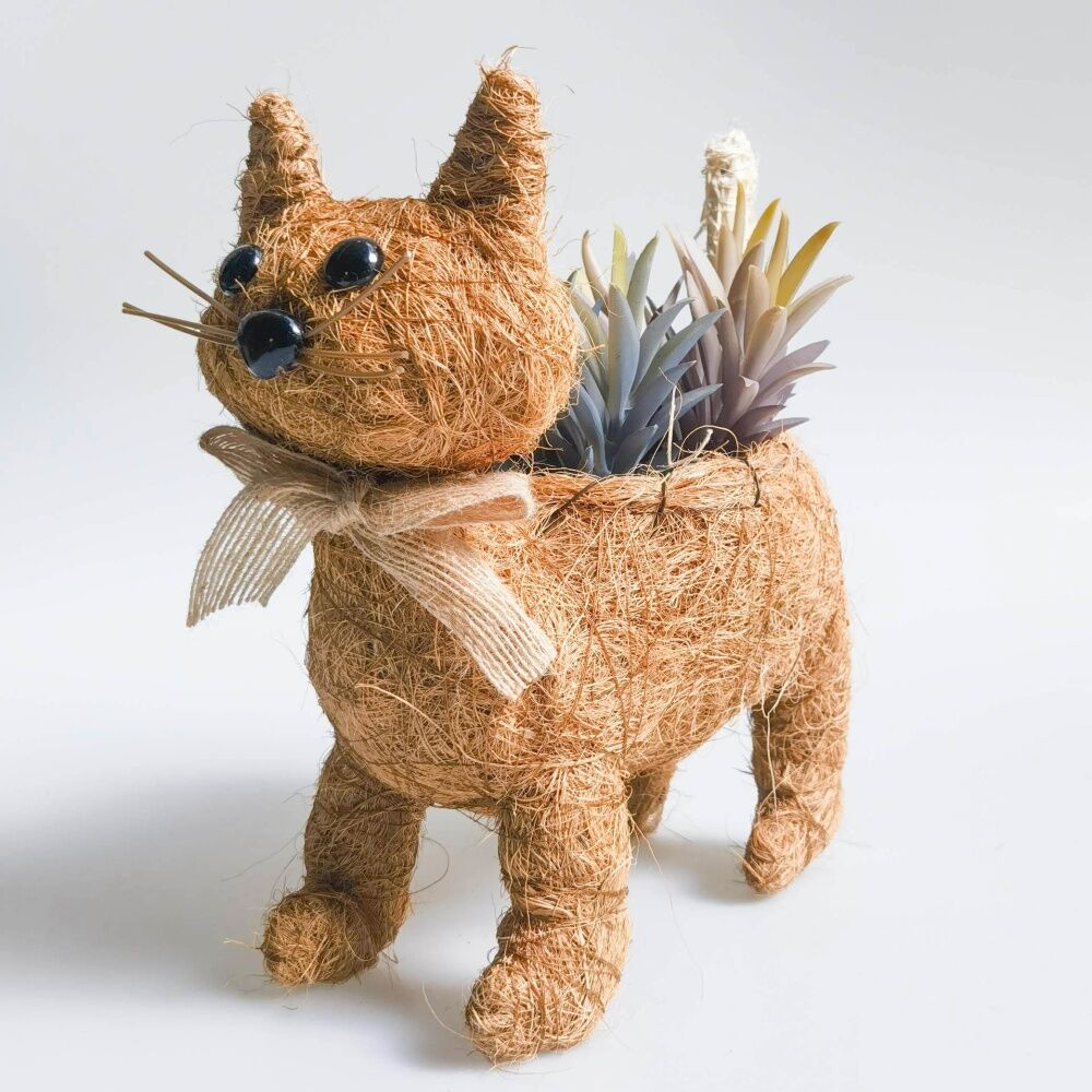 Urban Products Ginger Cat Husk Planter Orange Decorative Indoor 24cm (4 Pack) — image 3