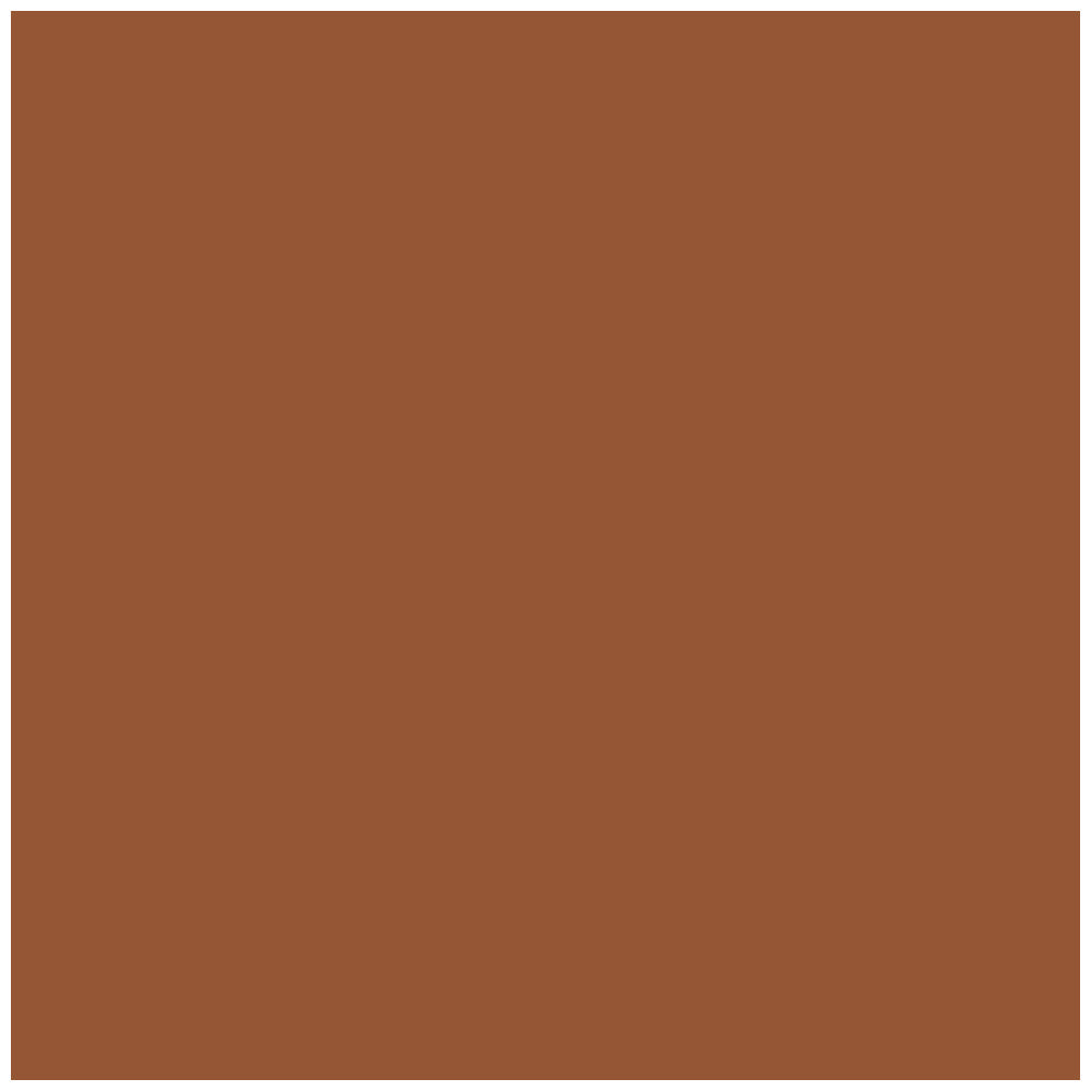 BYS 30ml All Day Wear SPF20 Liquid Foundation Face Makeup Cosmetics Natural Tan — image 2