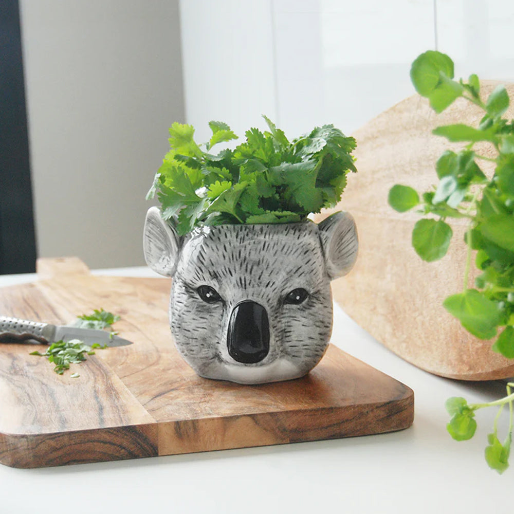 White Moose 13x16cm Ceramic Pot Planter Home/Room Decor Plant Container Koala — image 2