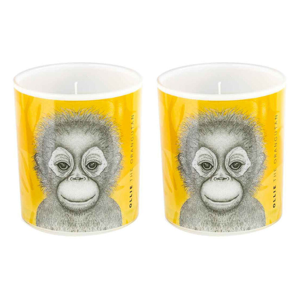 LMD Dots By Donna Ollie The Orangutan Glass Candle 45hr Home Decor Yellow (2 Pack)