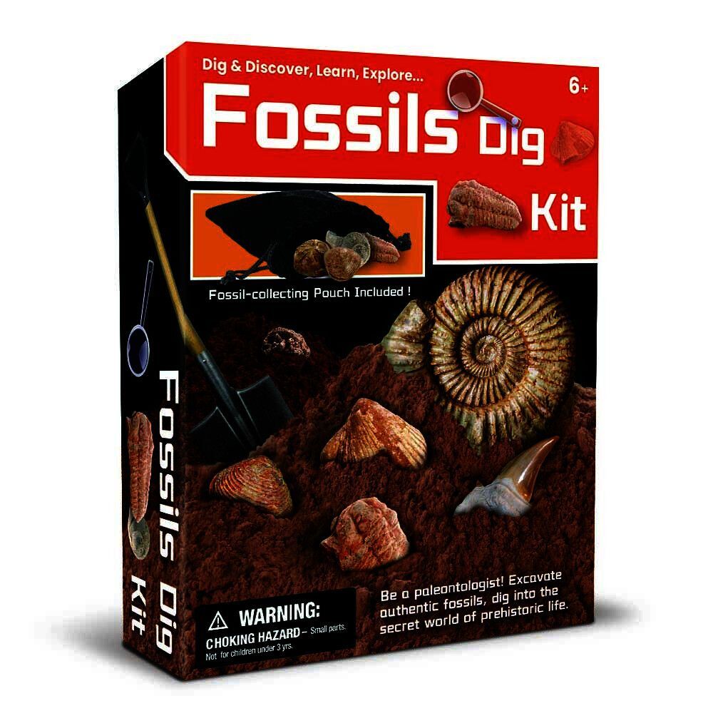 Kaper Kidz Dig & Discover Fossils Dig Kids/Childrens Mining/Excavation Kit 6y+