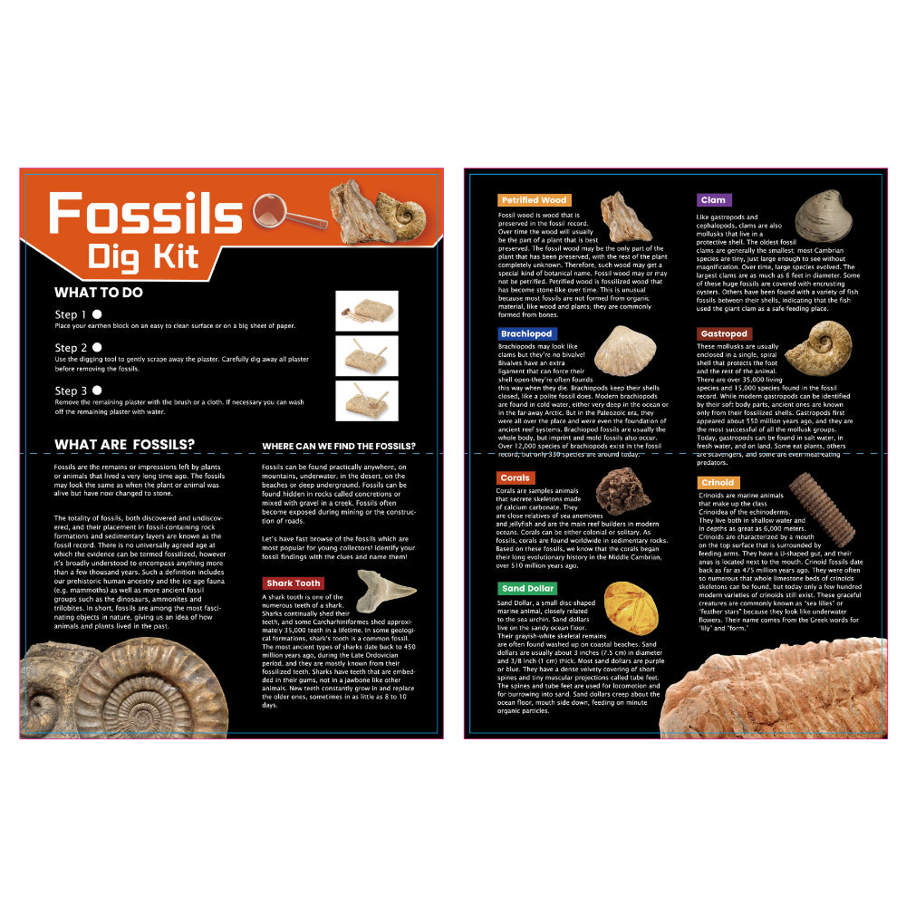 Kaper Kidz Dig & Discover Fossils Dig Kids/Childrens Mining/Excavation Kit 6y+ — image 5