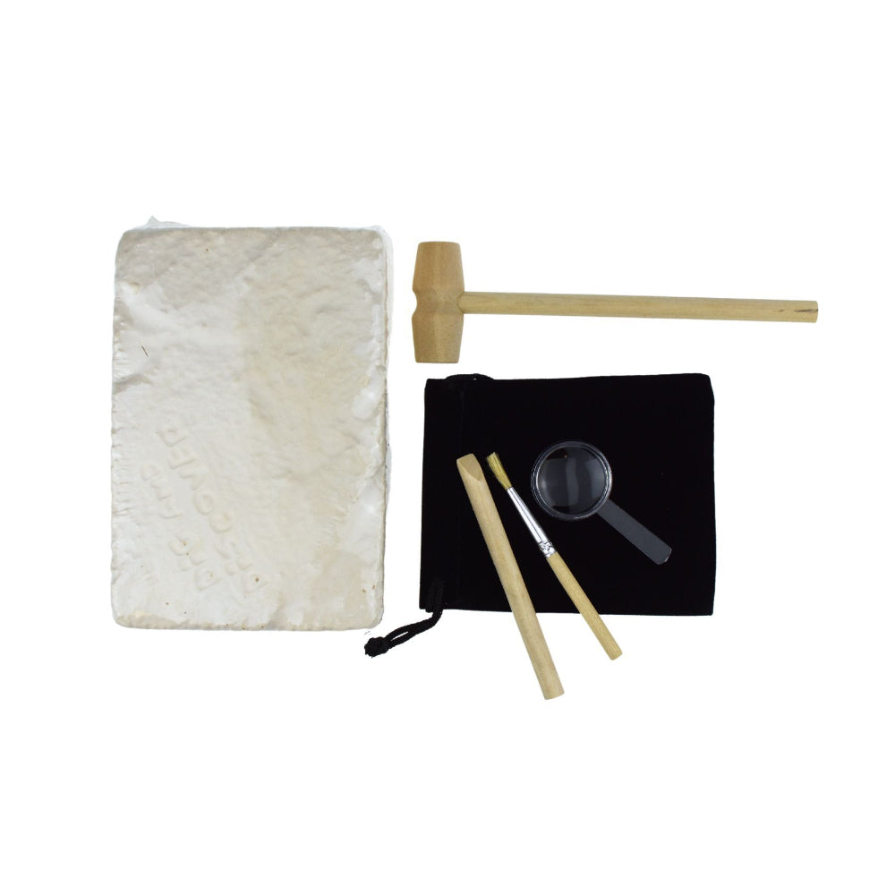 Kaper Kidz Dig & Discover Fossils Dig Kids/Childrens Mining/Excavation Kit 6y+ — image 4