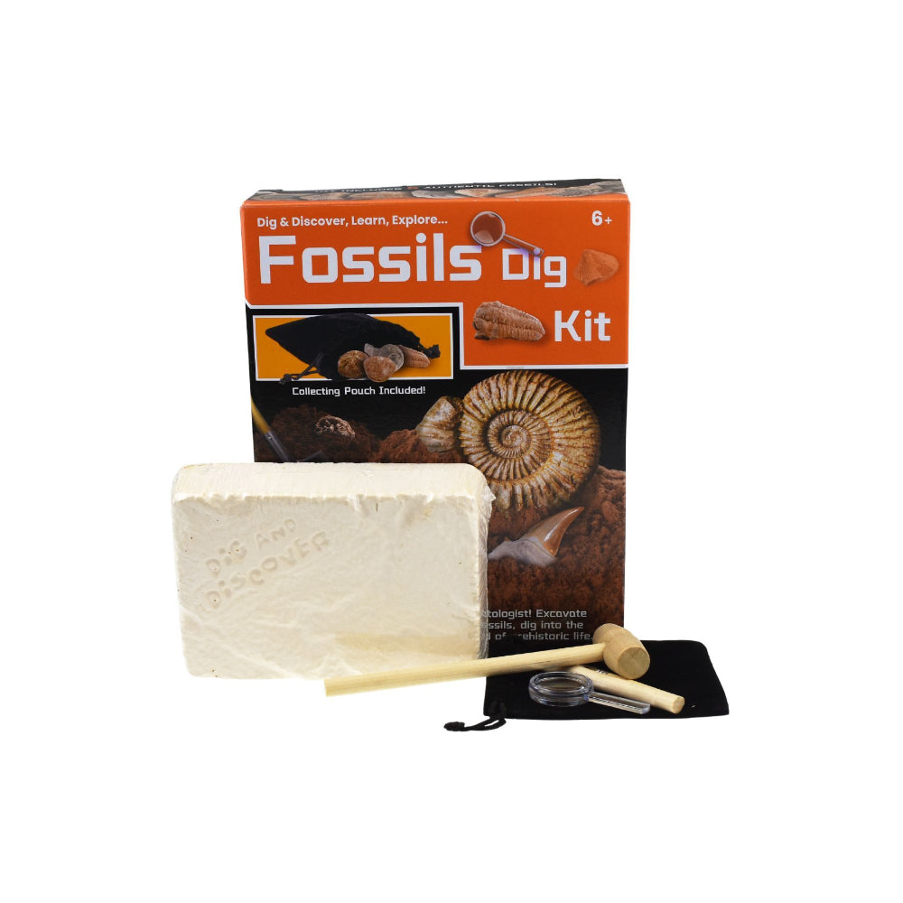 Kaper Kidz Dig & Discover Fossils Dig Kids/Childrens Mining/Excavation Kit 6y+ — image 3