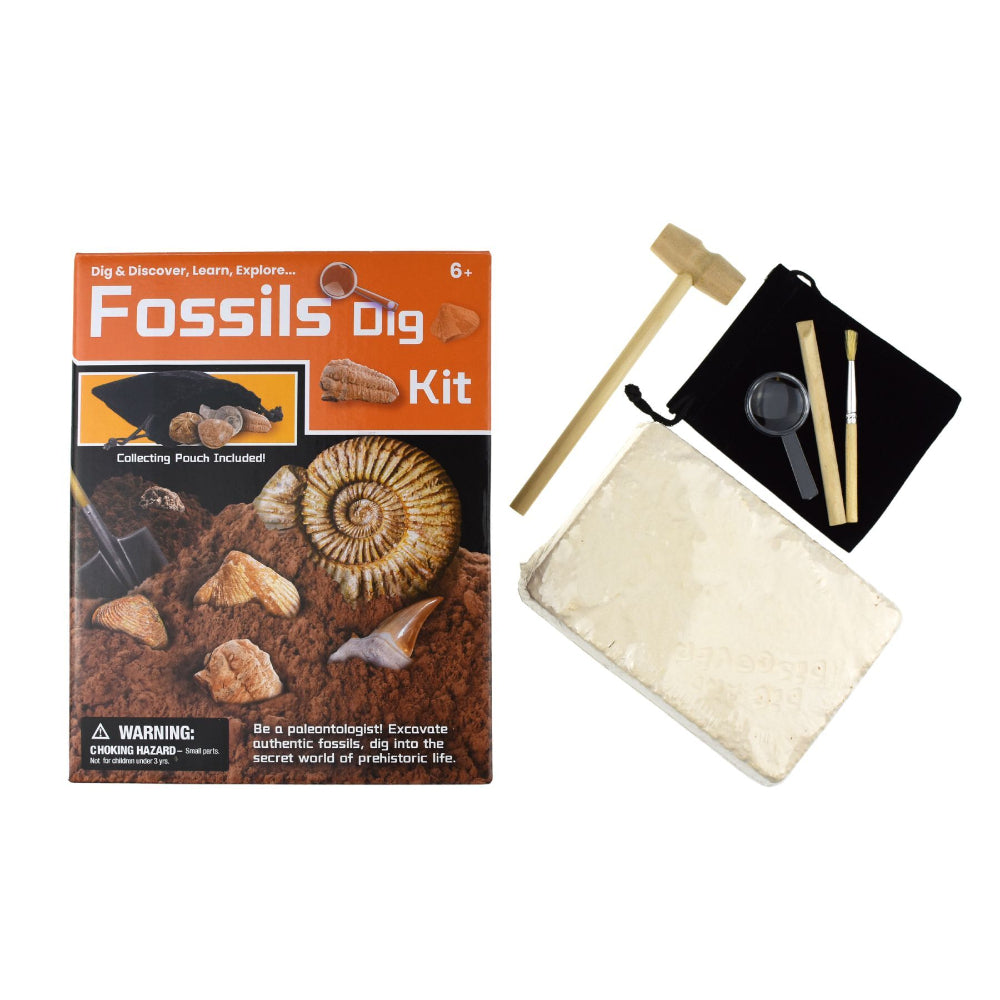 Kaper Kidz Dig & Discover Fossils Dig Kids/Childrens Mining/Excavation Kit 6y+ — image 2