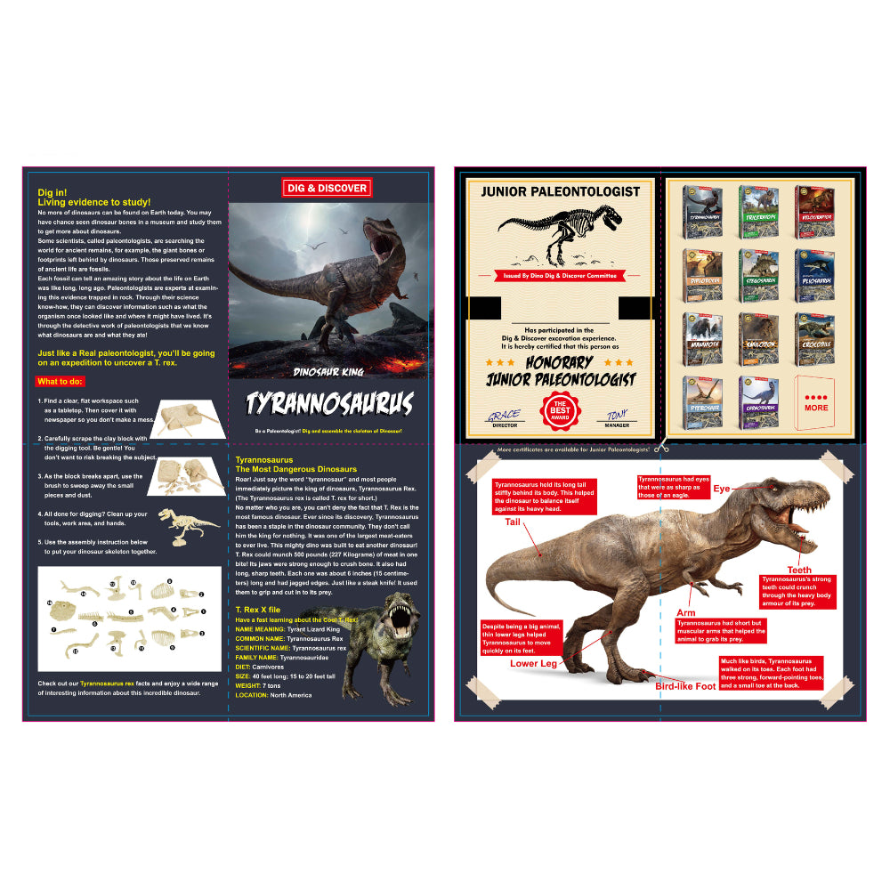Kaper Kidz Dig Discover Tyrannosaurus Dig Excavation Kits Educational Toy — image 4