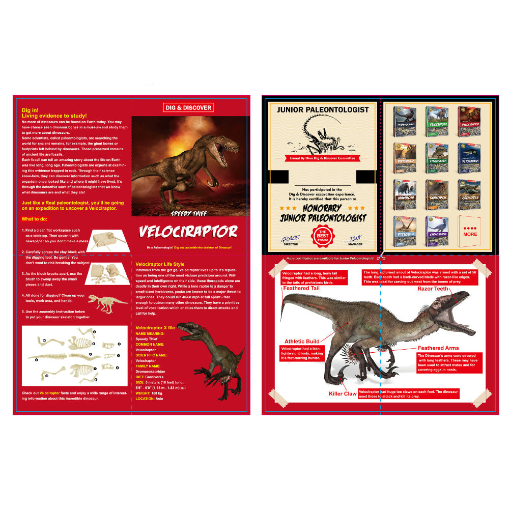 Kaper Kidz Dig Discover Velociraptor Dig Excavation Kits Educational Toy — image 4