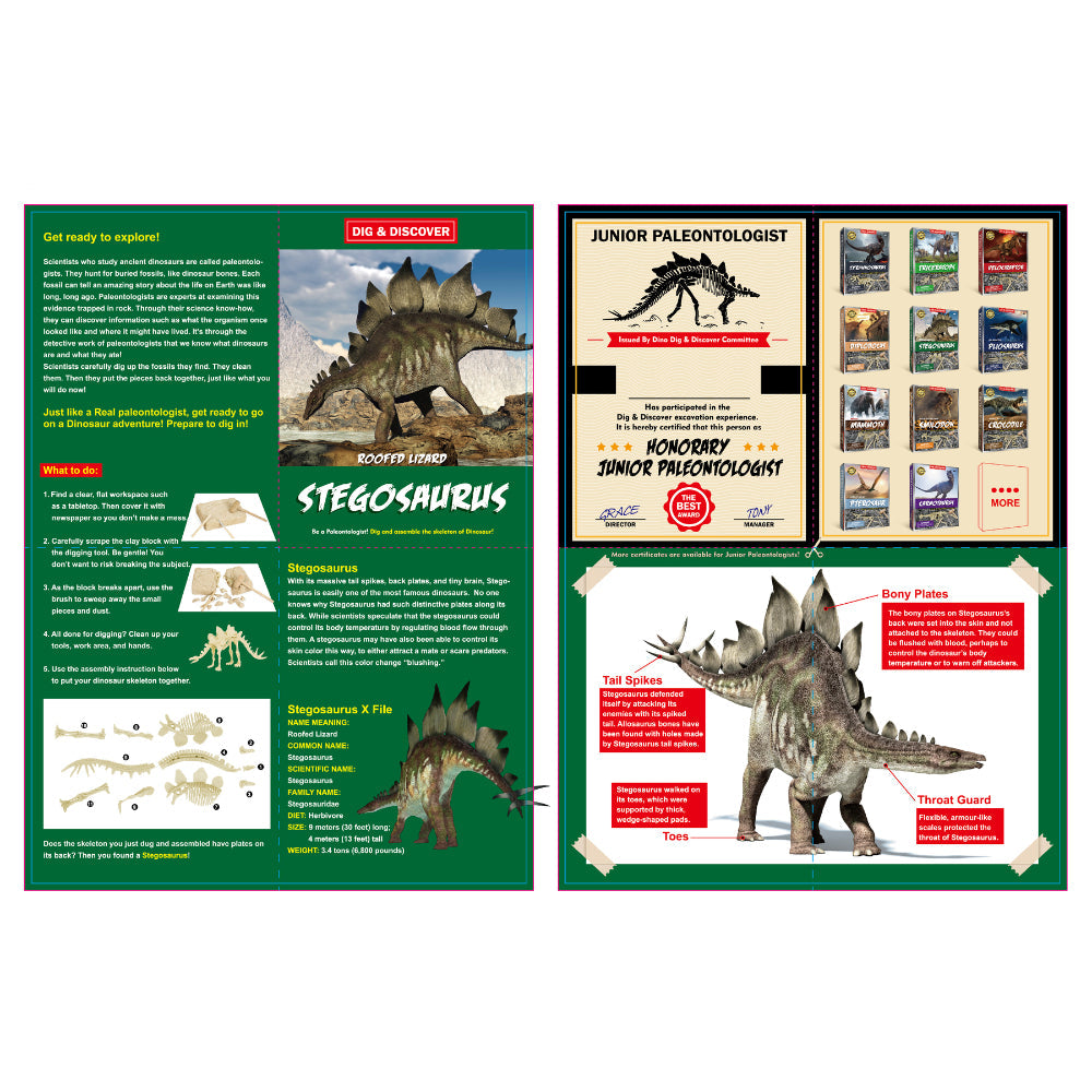 Kaper Kidz Childrens Dig & Discover Stegosaurus Dig/Excavation Kits 6y+ (2 Pack) — image 5