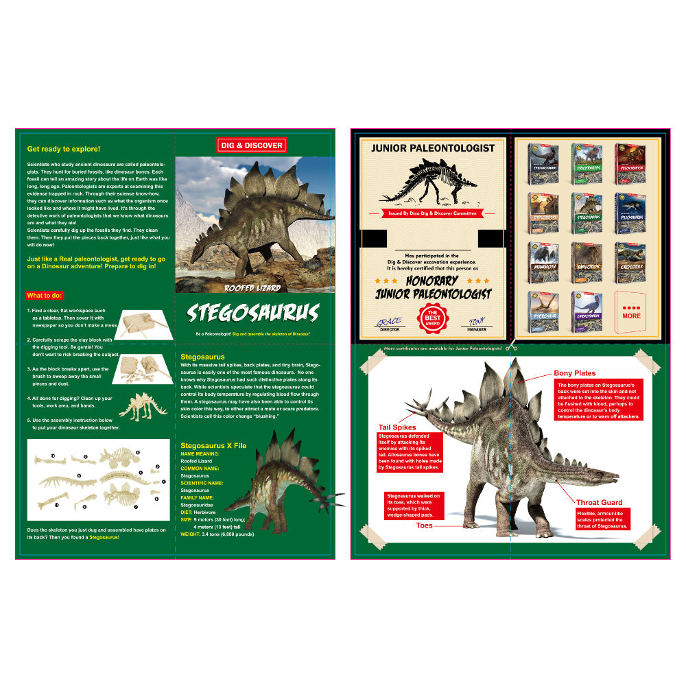 Kaper Kidz Dig Discover Stegosaurus Dig Excavation Kits Educational Toy — image 4