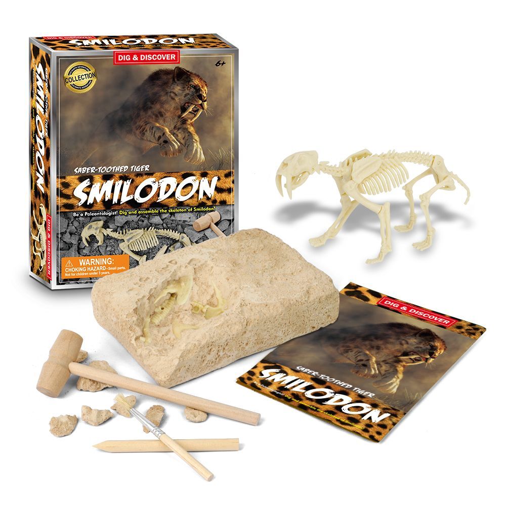 Kaper Kidz Dig Discover Sabertooth Tiger Dig Kits Educational Toy