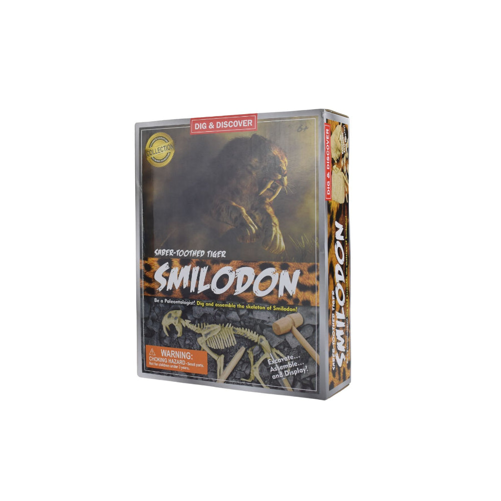 Kaper Kidz Dig Discover Sabertooth Tiger Dig Kits Educational Toy — image 2