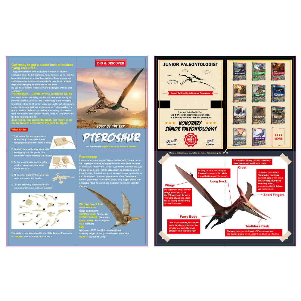Kaper Kidz Dig Discover Pterosaur Dig Excavation Kits Educational Toy — image 4